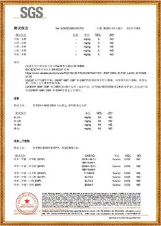 封箱胶SGS测试报告（中文版）