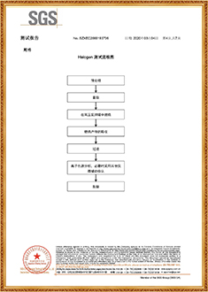 塑钢带SGS测试报告（中文版）