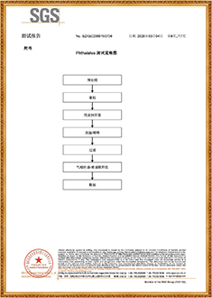 塑钢带SGS测试报告（中文版）